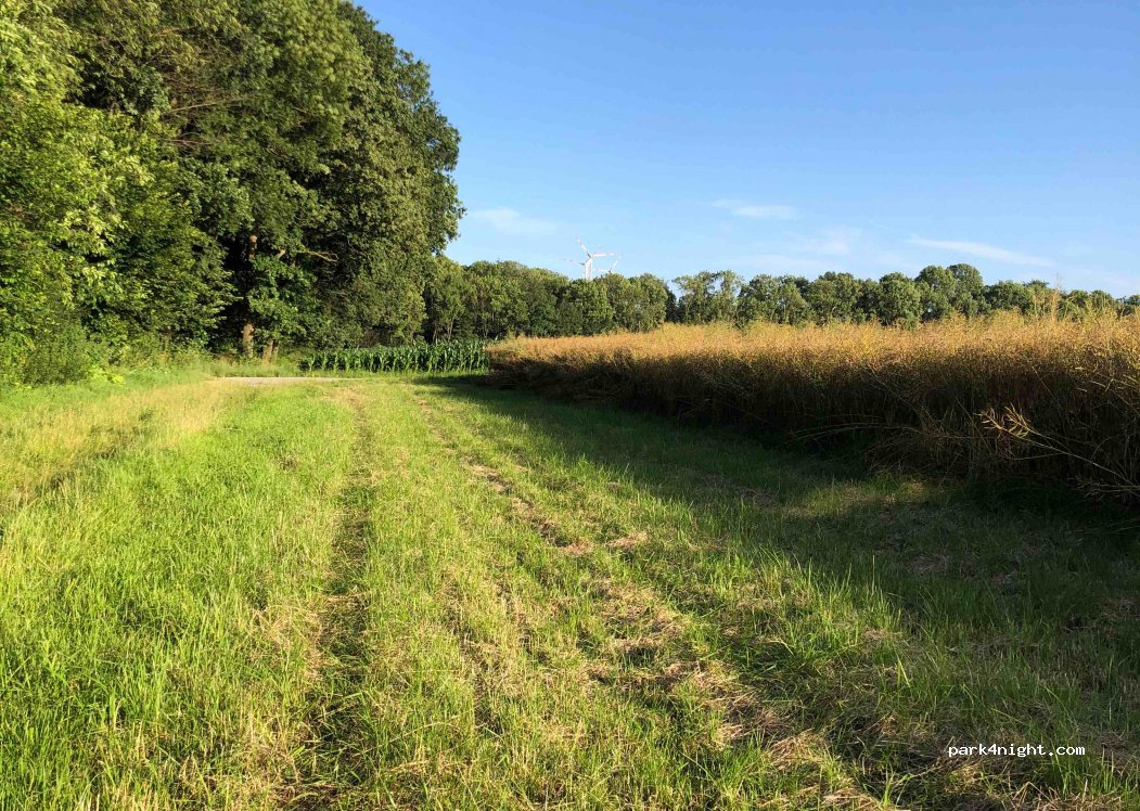 (33142) Büren - Unnamed Road — foto 3