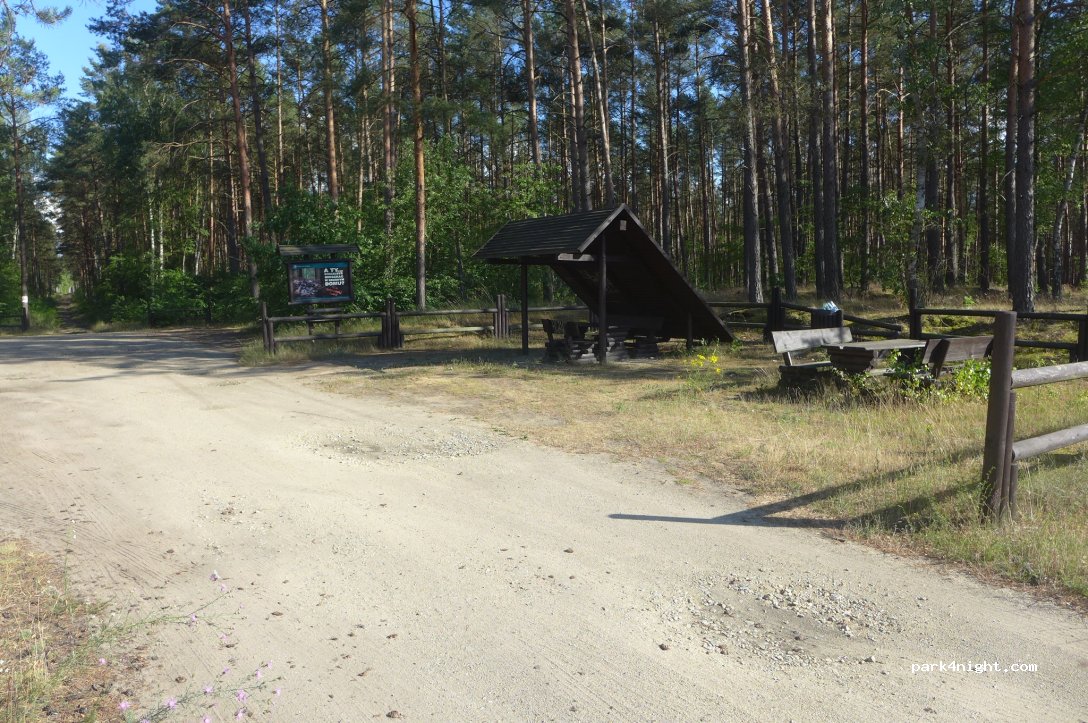 (64) Piła - Aleja Powstańców Wielkopolskich — foto