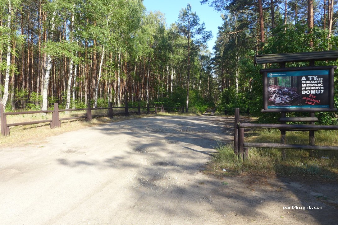 (64) Piła - Aleja Powstańców Wielkopolskich — foto 2