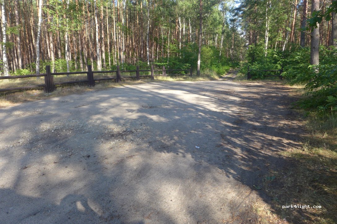 (64) Piła - Aleja Powstańców Wielkopolskich — foto 3