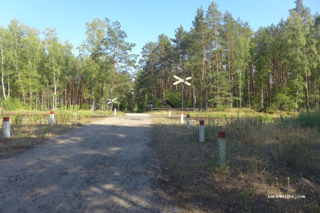 (64) Piła - Aleja Powstańców Wielkopolskich — foto 4