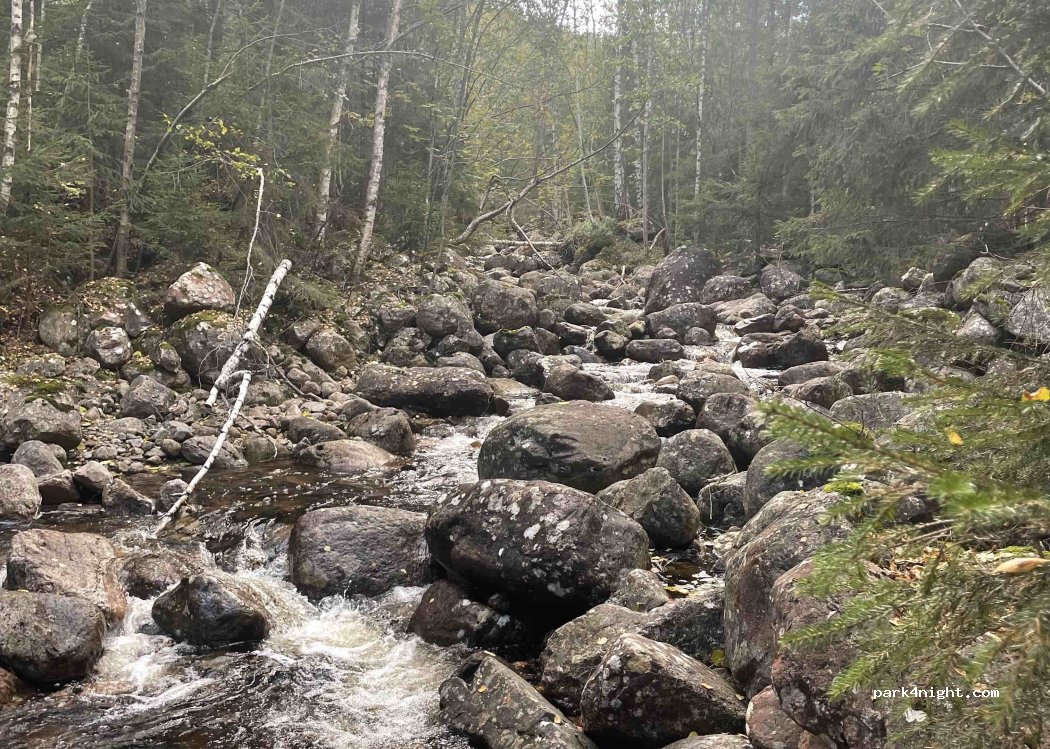 (3753) Tørdal - 2 Primær Fylkesveg 38 — foto