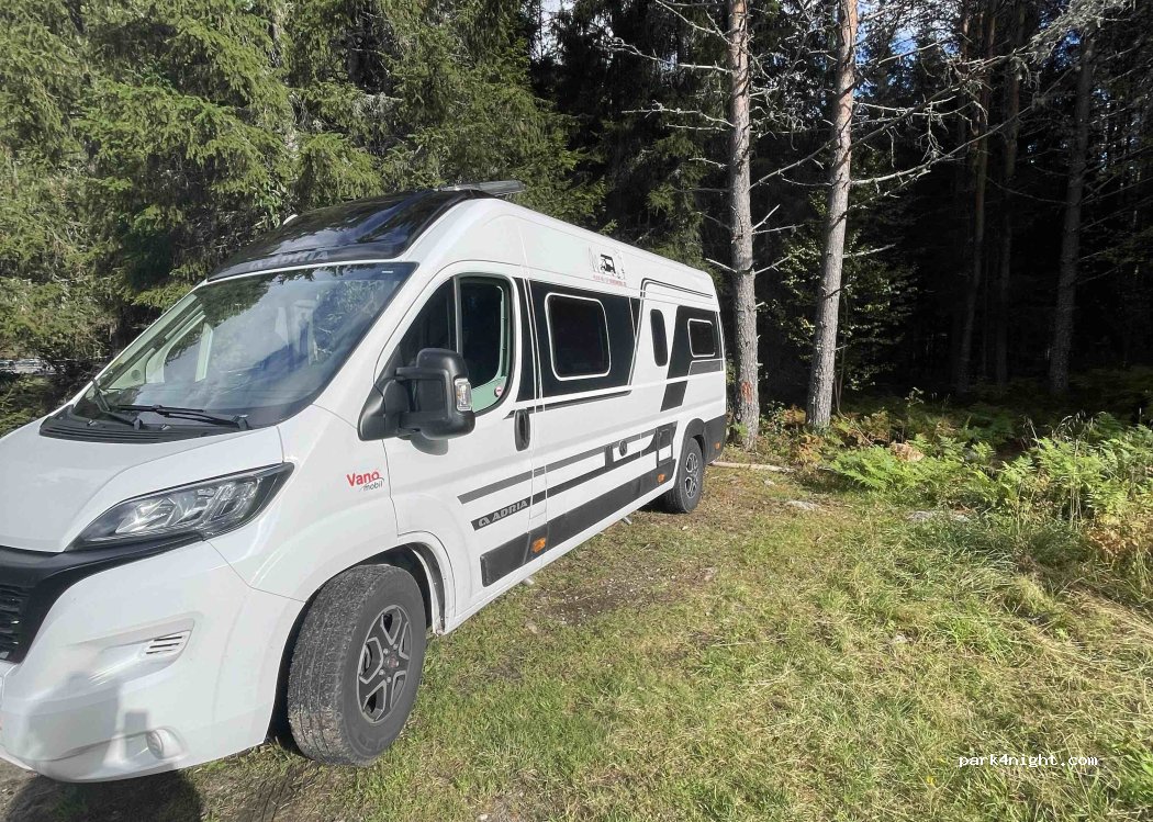 (3753) Tørdal - 2 Primær Fylkesveg 38 — foto 2
