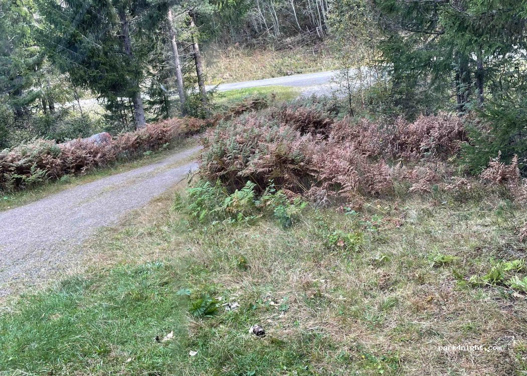 (3753) Tørdal - 2 Primær Fylkesveg 38 — foto 3