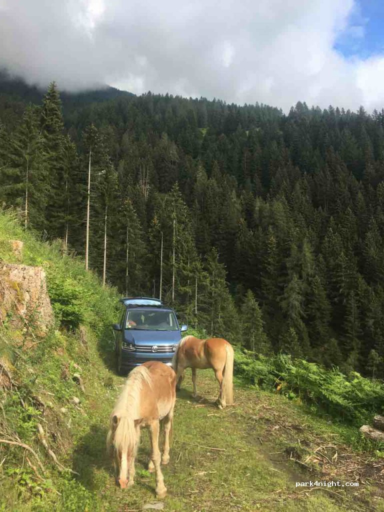 (6167) Neustift im Stubaital - Ausserrain — foto 4