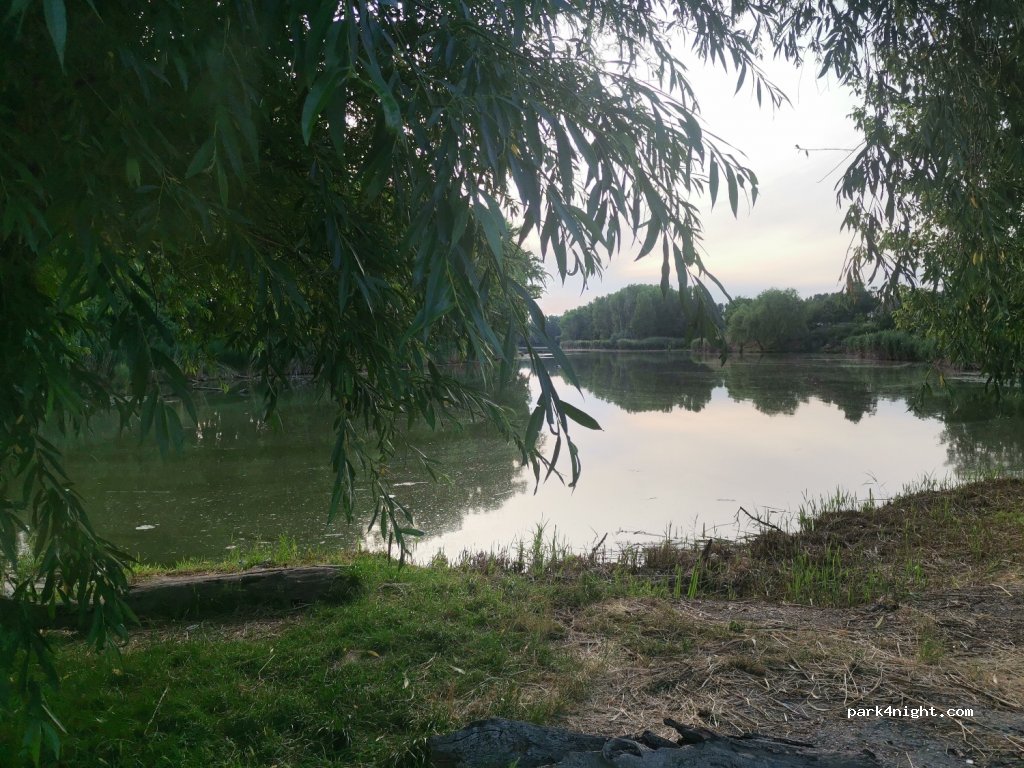 (925 52) Šoporňa - Vážska — foto 2