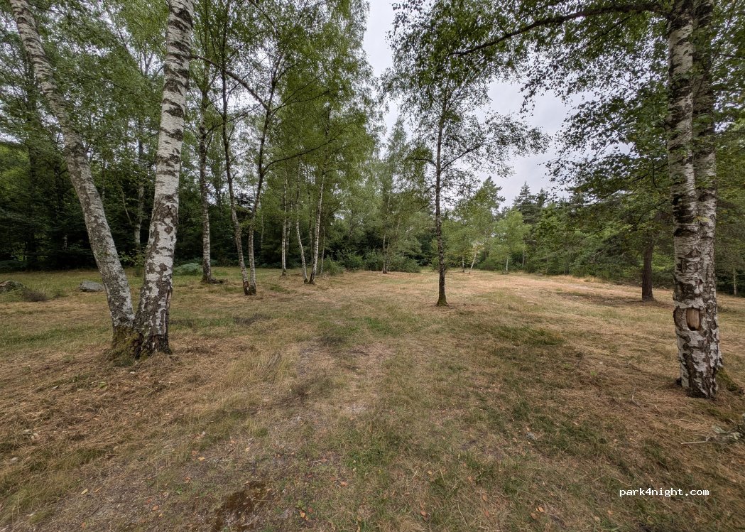 (63550) Saint-Rémy-sur-Durolle - 12 Lotissement les Garennes — foto 5