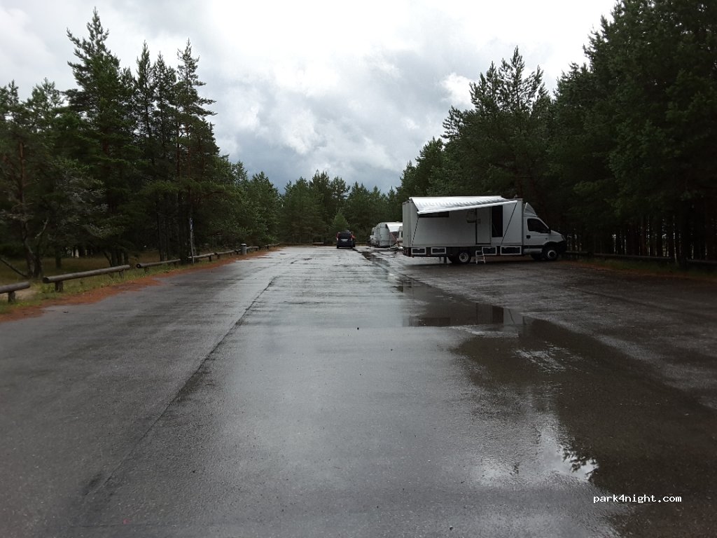 (91202) Elbiku / Ölbäck - — foto 2