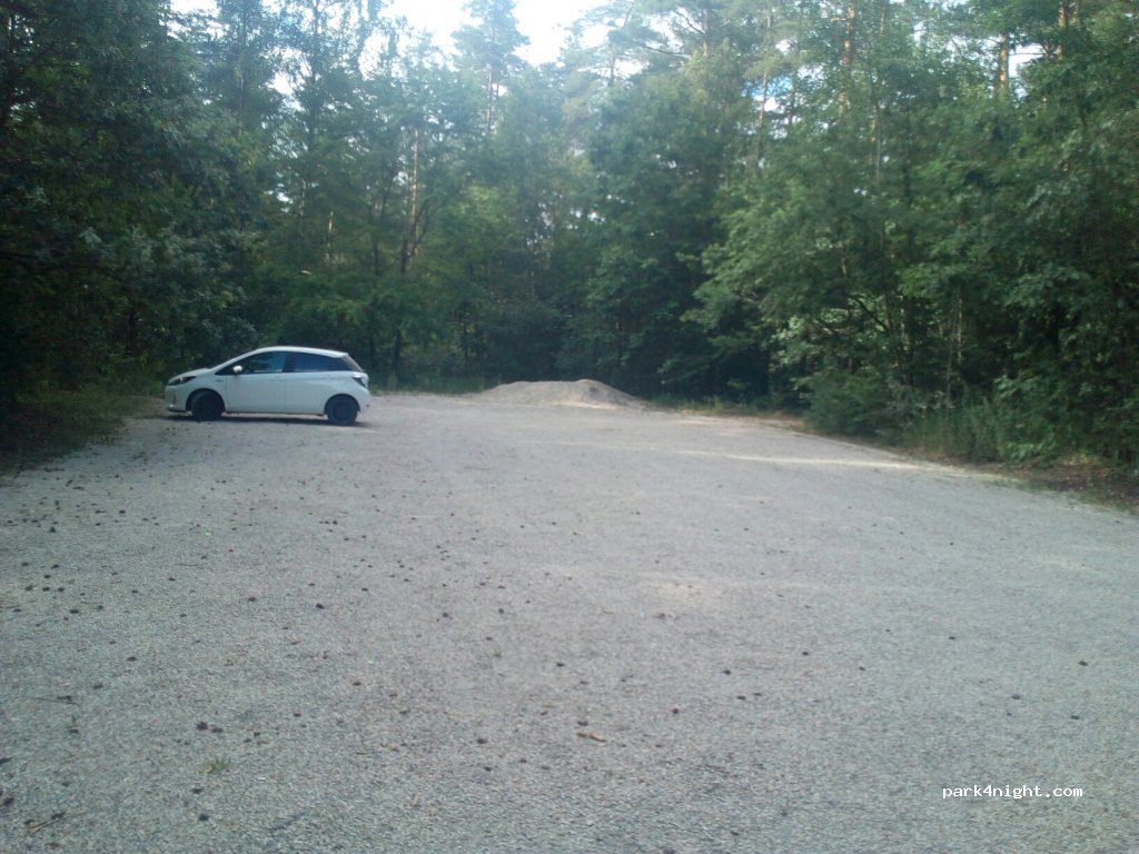 (90475) Feuchter Forst - Am Reichswald — foto