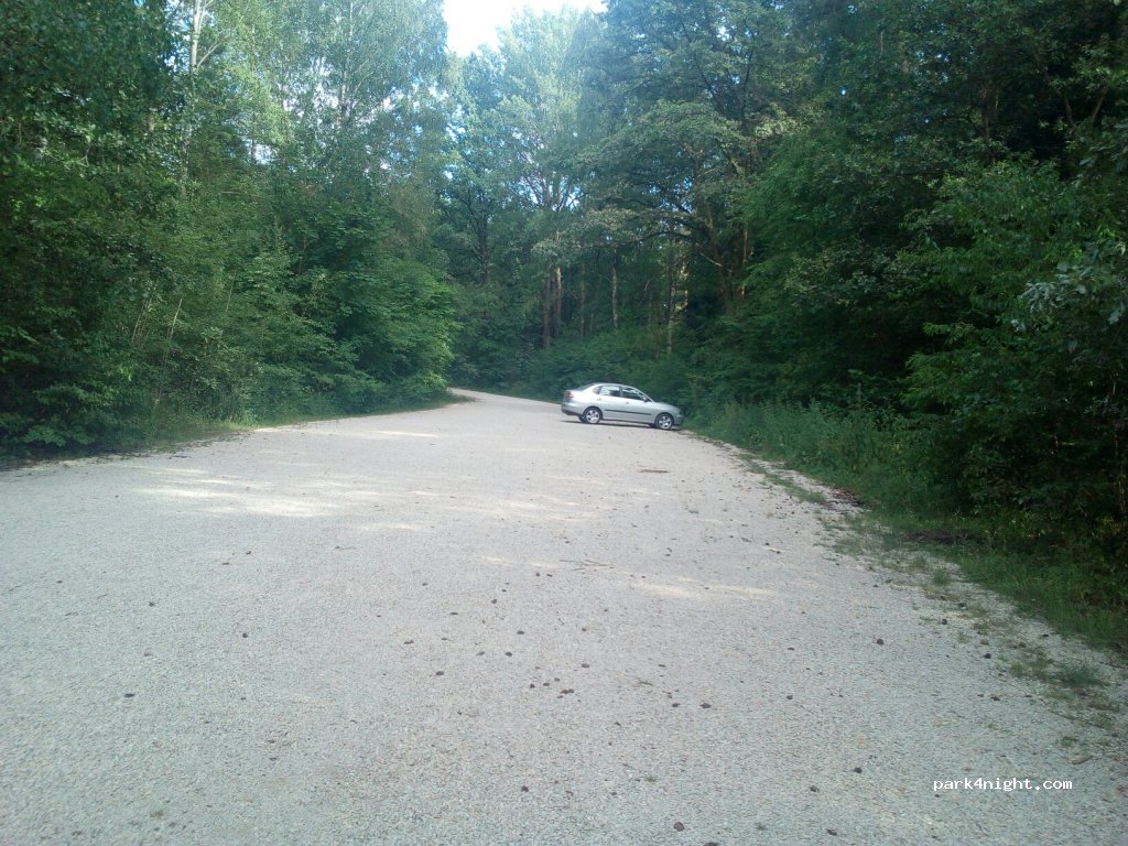 (90475) Feuchter Forst - Am Reichswald — foto 2