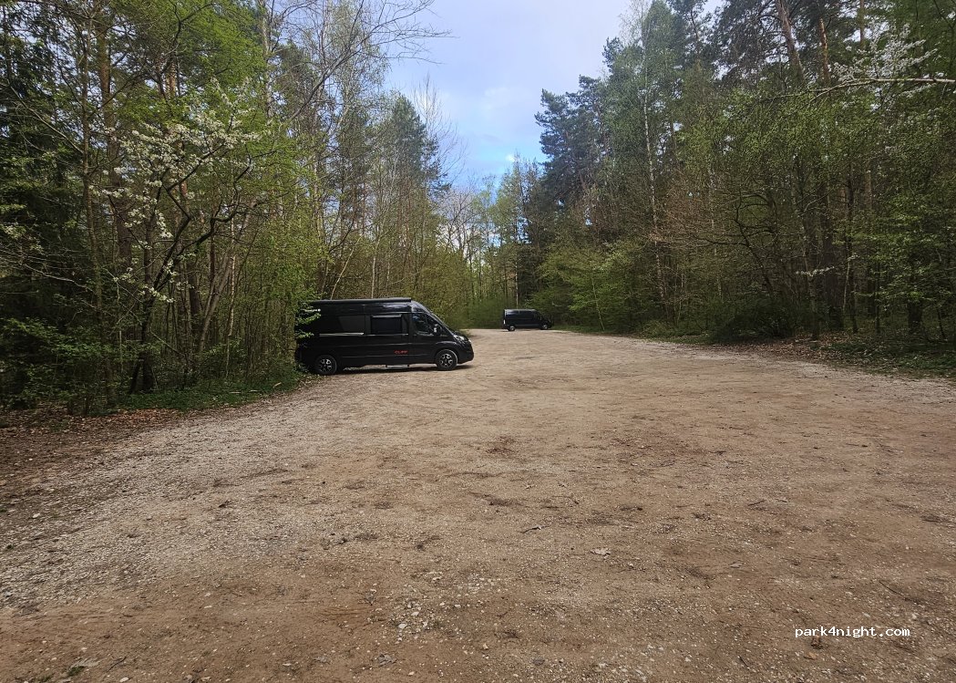 (90475) Feuchter Forst - Am Reichswald — foto 5
