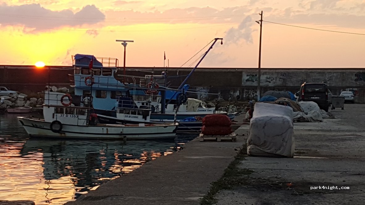 (37600) Cide/Kastamonu - 54 Makaracı Sokak — foto 2