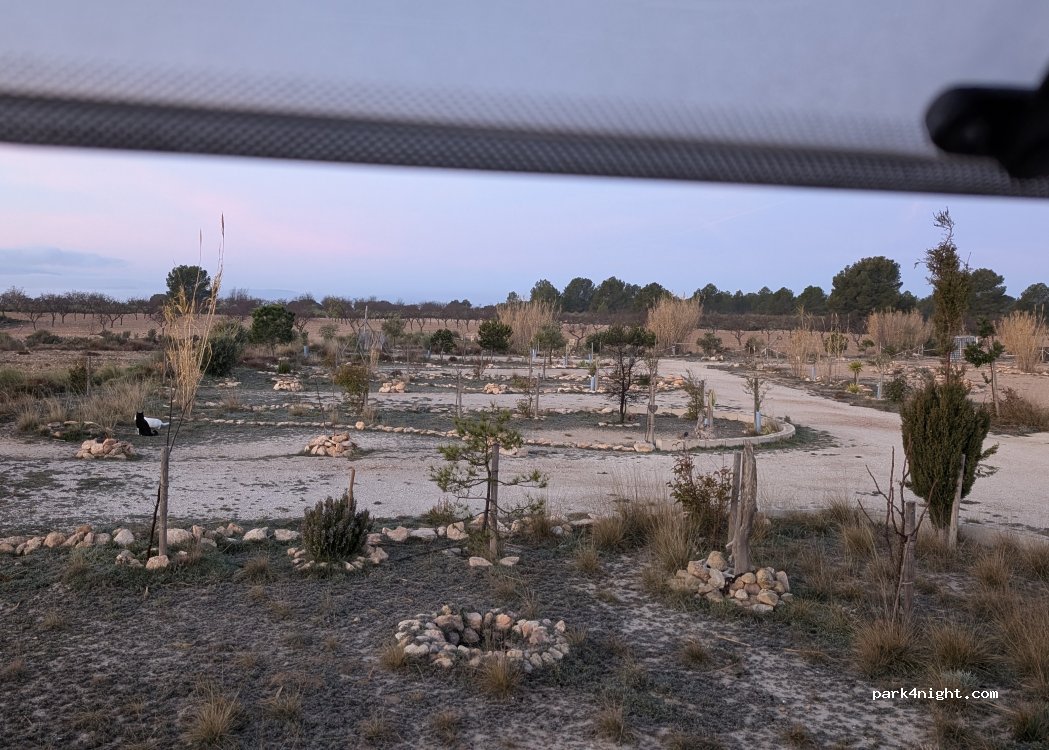 (30510) Yecla - Paraje Fuente del Pinar, A-14 — foto 4