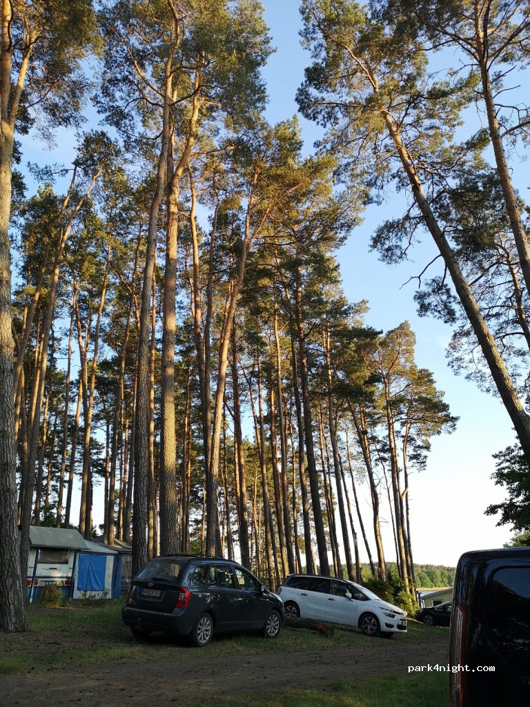 Naturcamp e.V. Röddelin — foto