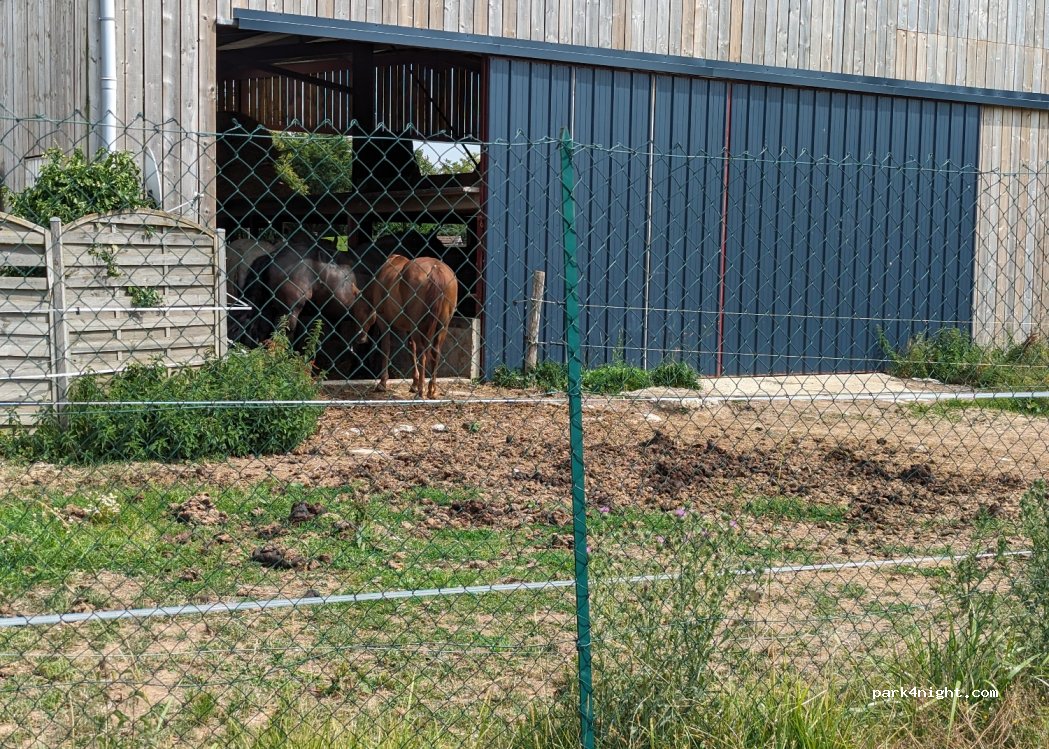 Camping Au Vert de L'Authie — foto 2