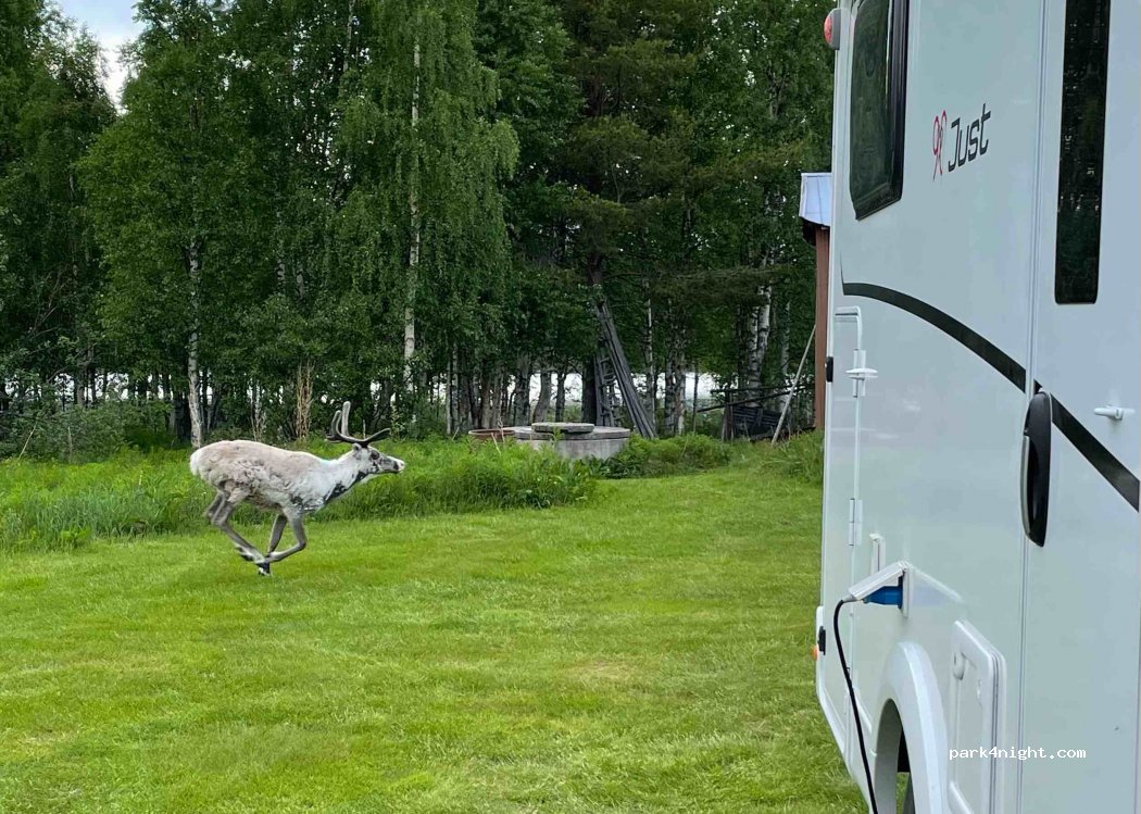 Sjöstjärnans Camping — foto 3