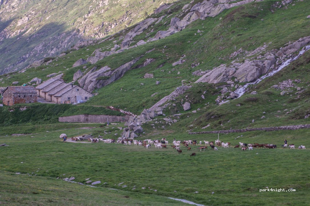 (7185) Medels im Oberland - Unnamed Road — foto 2
