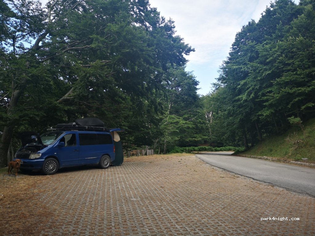 (82030) Tocco Caudio - SP117 — foto