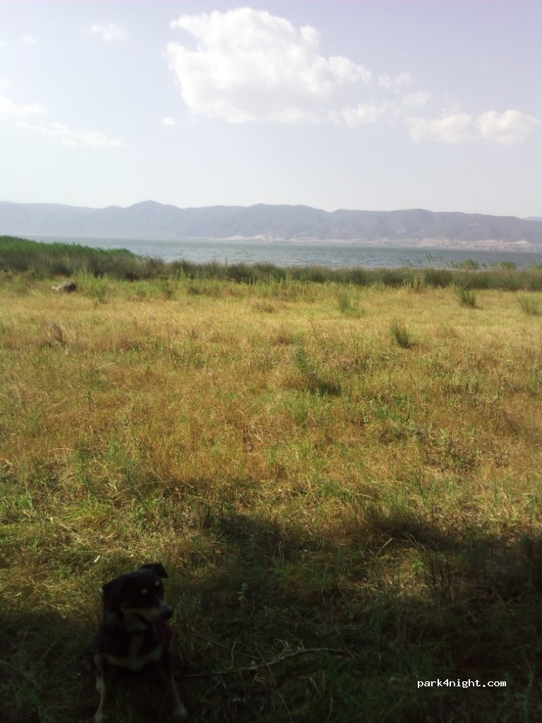 (570 14) Nea Madytos - Ethniki Odos Thessalonikis Kavalas — foto 3