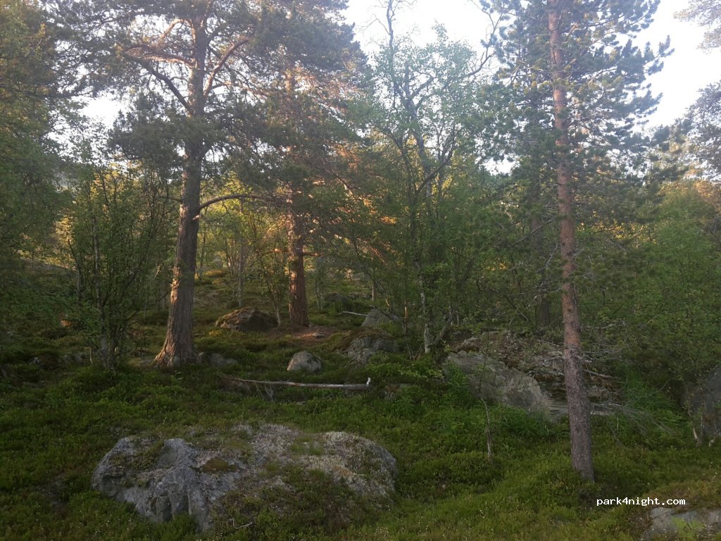 (9161) Burfjord - E6 — foto 3