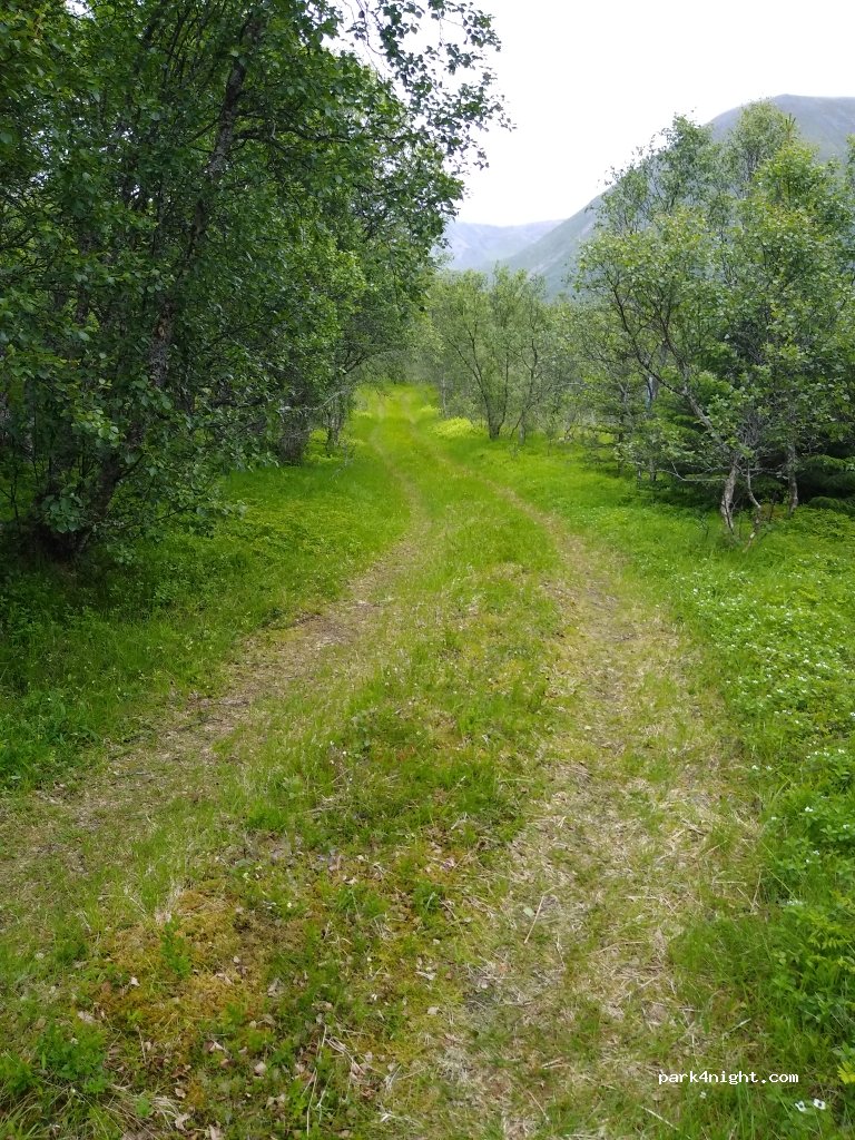 (8484) Risøyhamn - Sekundær Fylkesveg 974 — foto 2