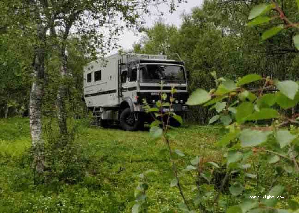 (8484) Risøyhamn - Sekundær Fylkesveg 974 — foto 3