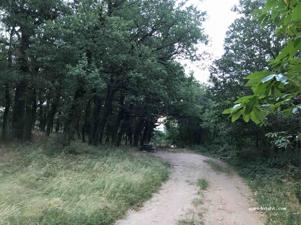 (42410) Pélussin - D19 — foto 2