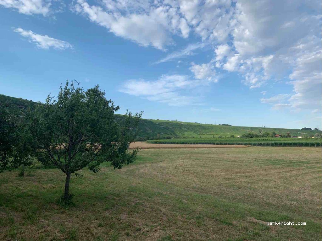 (74394) Hessigheim - Über dem Neckar — foto 2