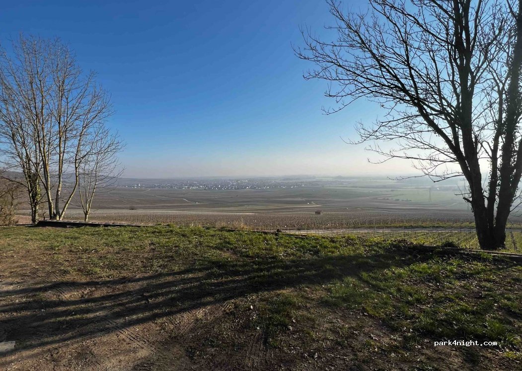 (51130) Bergères-lès-Vertus - Rue du Petit Orme — foto 2