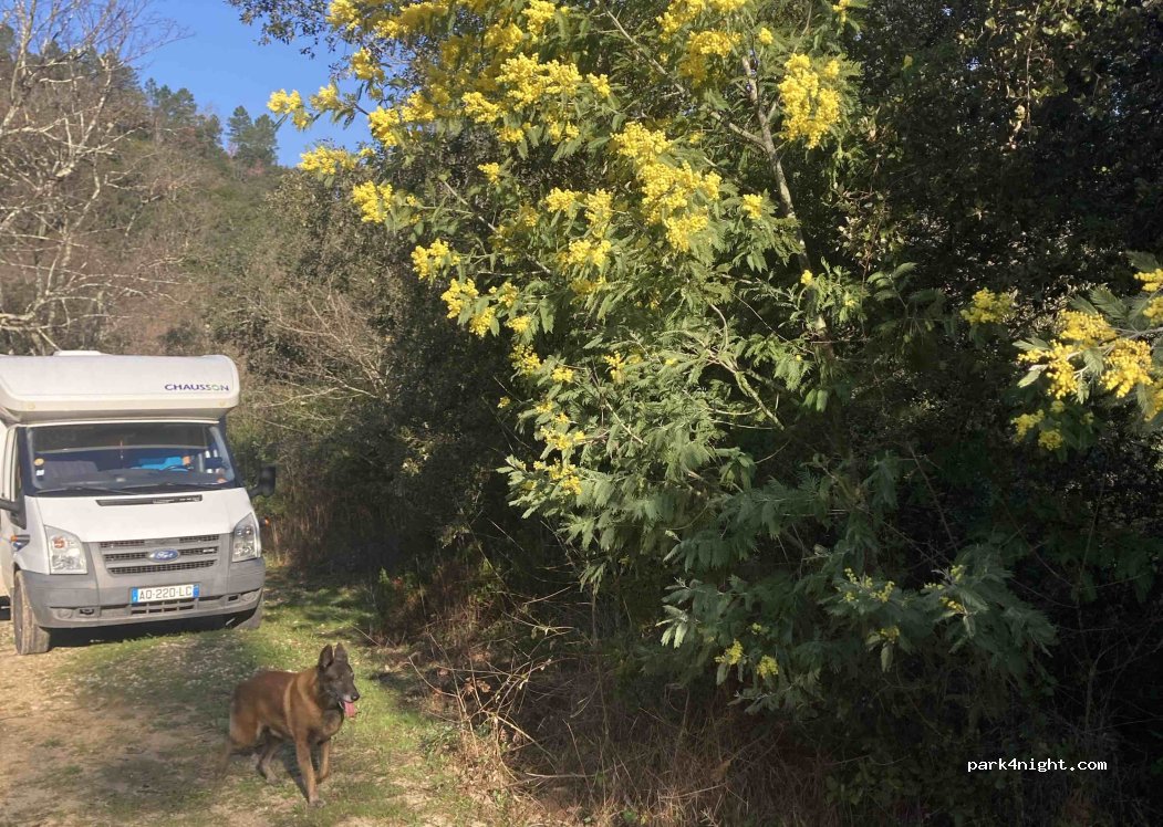 (83440) Tanneron - D94 — foto 4
