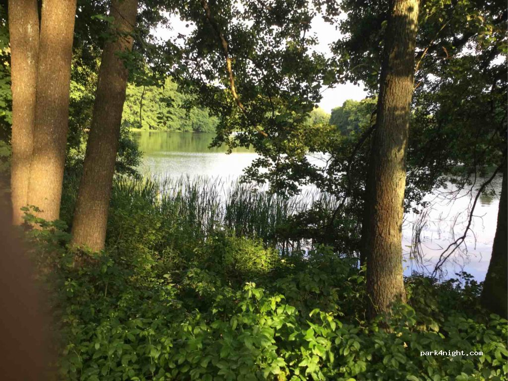(14-105) Łukta - Olsztyńska — foto 2