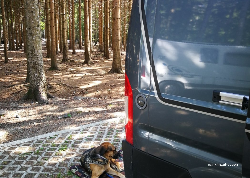 (16049) santo stefano d'aveto - Strada Provinciale 75 — foto 3