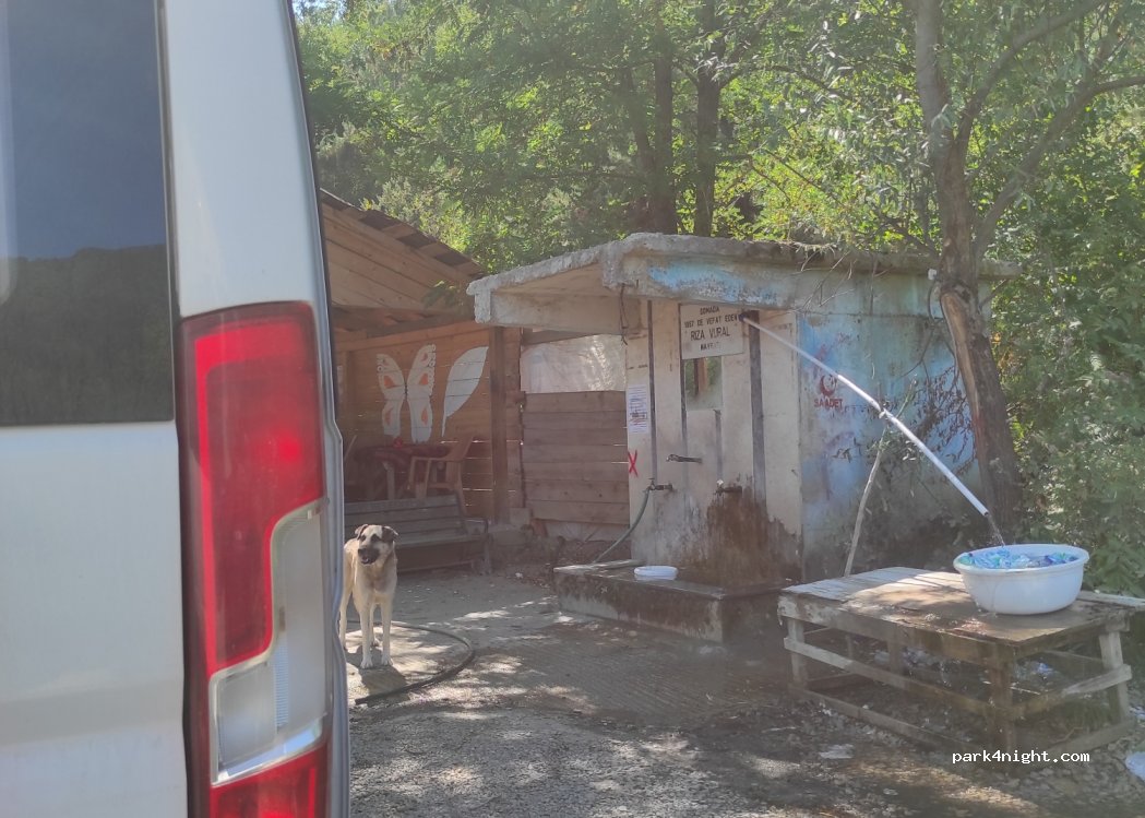 (57400) Zaviye/Ayancık/Sinop - Sinop İnebolu Yolu — foto 3