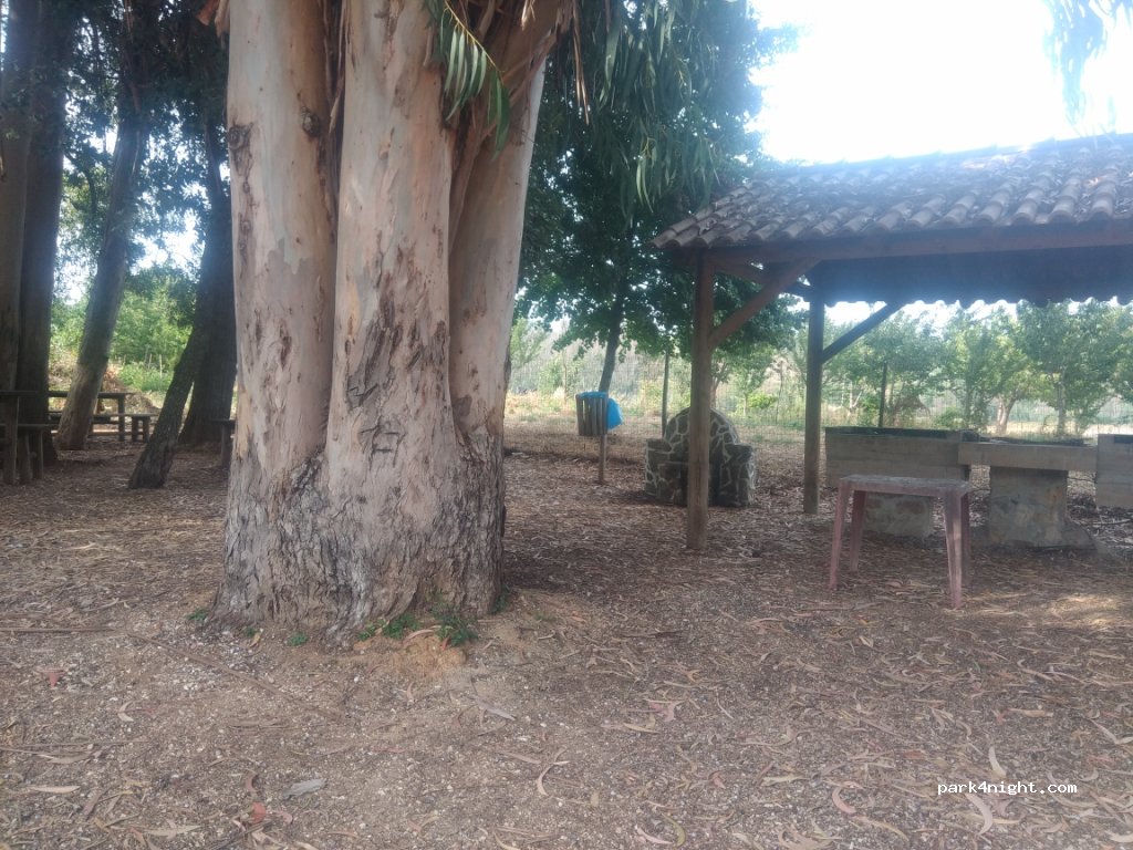 (3260) Figueiró dos Vinhos - CM1142 — foto 3