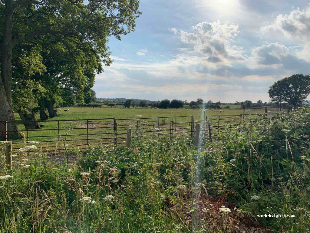 () Cheddar - Middle Moor Lane — foto 2