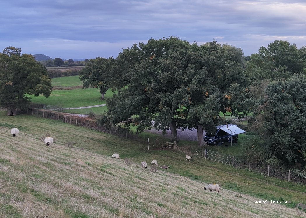 () Cheddar - Middle Moor Lane — foto 5