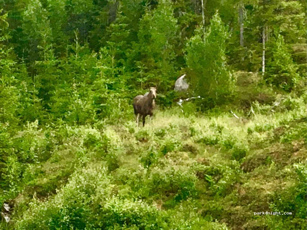 (7777) Nord-statland - Primær Fylkesveg 766 — foto 3