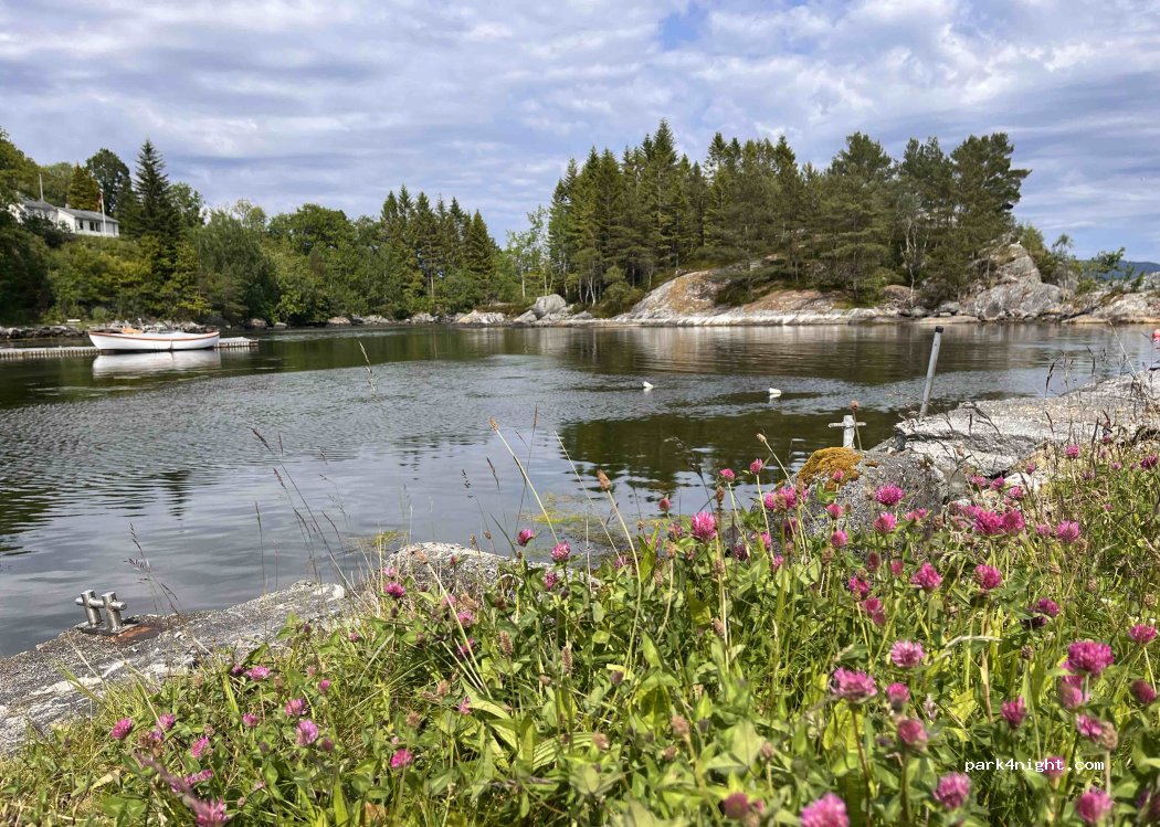 Camp Ålfjorden — foto 5