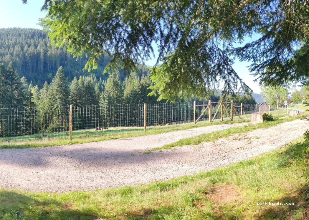 (72270) Baiersbronn - 199 Sankenbachstraße — foto 2