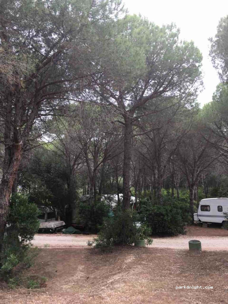 Camping Villaggio Calapineta — foto 2