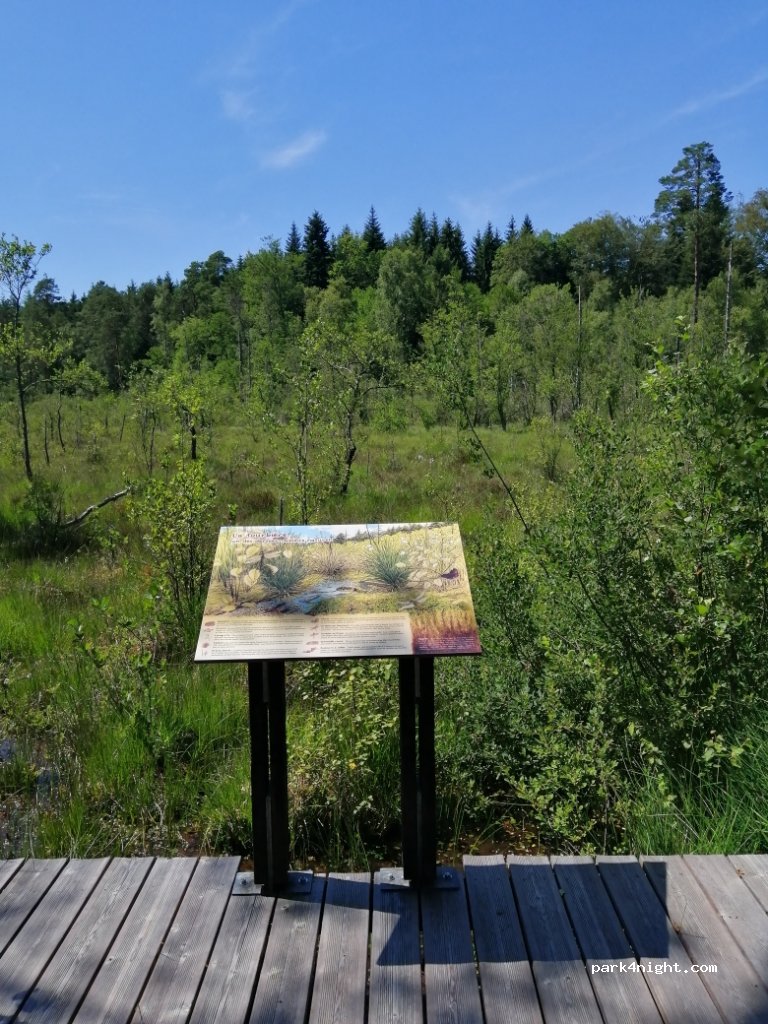 (54120) Bertrichamps - 170 Rue de la Solitude — foto 2