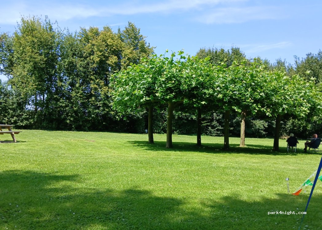 Camping De Rijnhof — foto 2