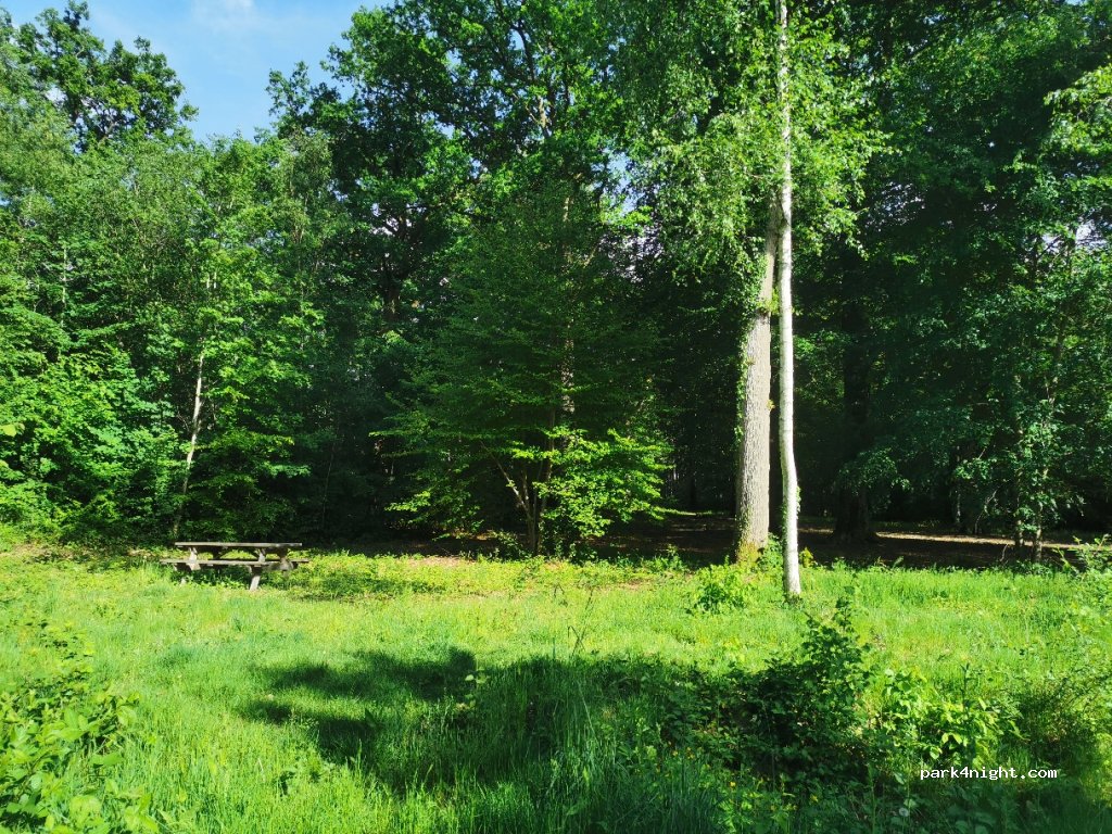 (60300) Fontaine-Chaalis - 5003F Le Fond du Bois de Perthe — foto