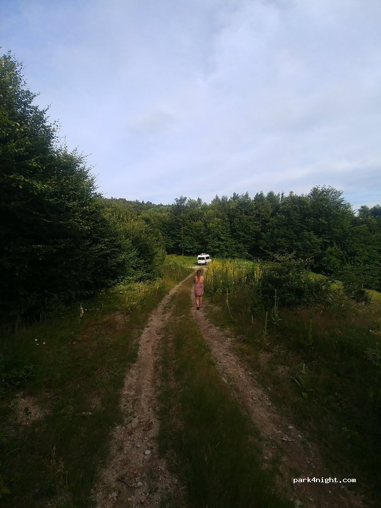 (227215) Obârșia-Cloșani - DN67D — foto 2
