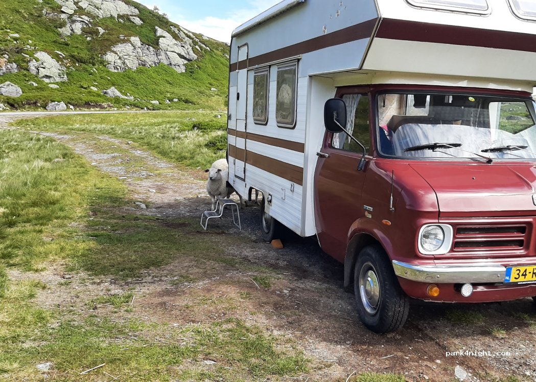 (4443) Tjørhom - Sekundær Fylkesveg 987 — foto 3