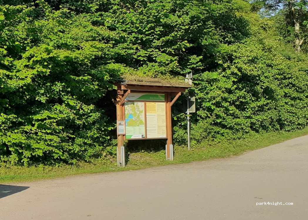 (52393) Hürtgenwald - 1 Auel — foto 3