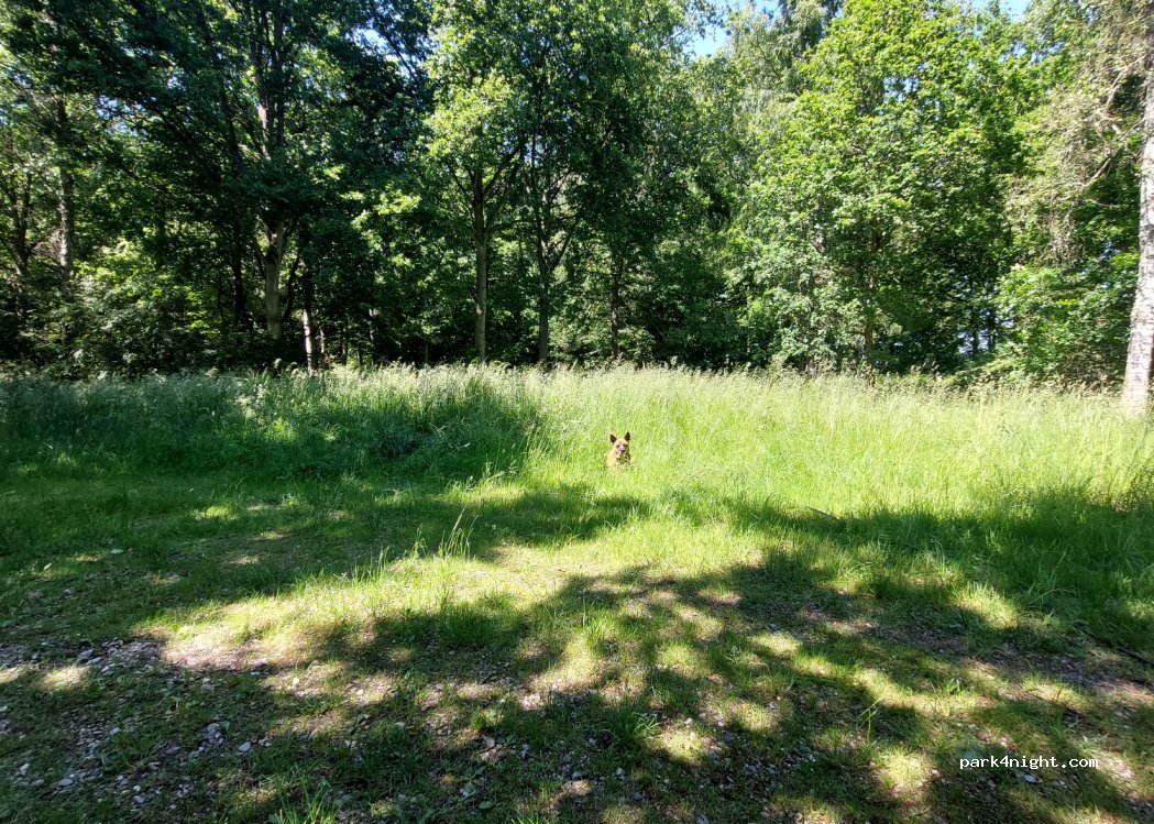 Parkering Storkevadsvej/Gillelejevej — foto 4