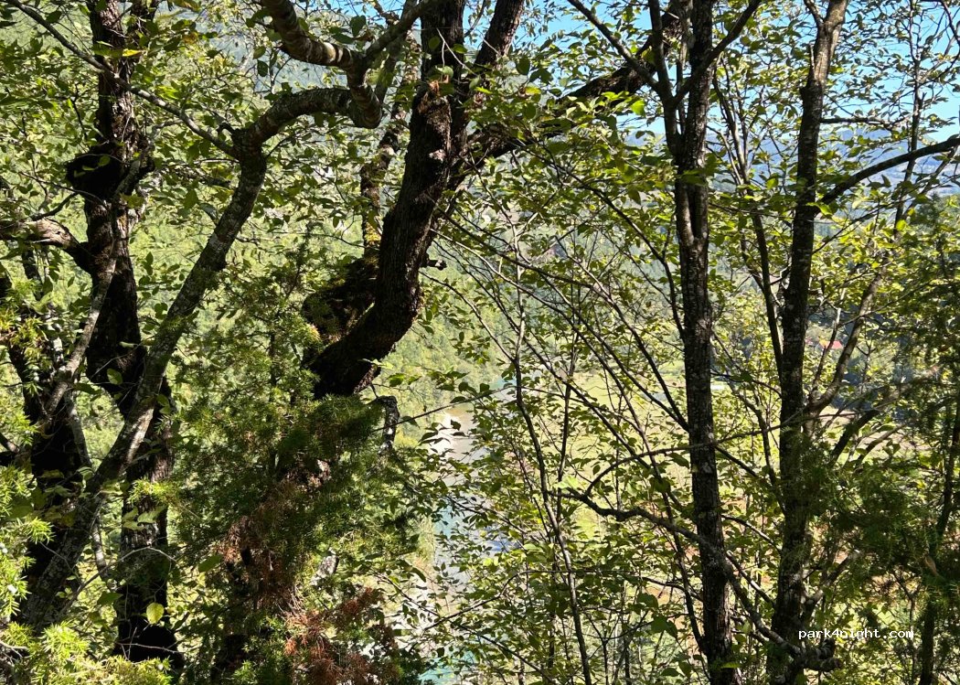 () Mojkovac - P4 — foto 3