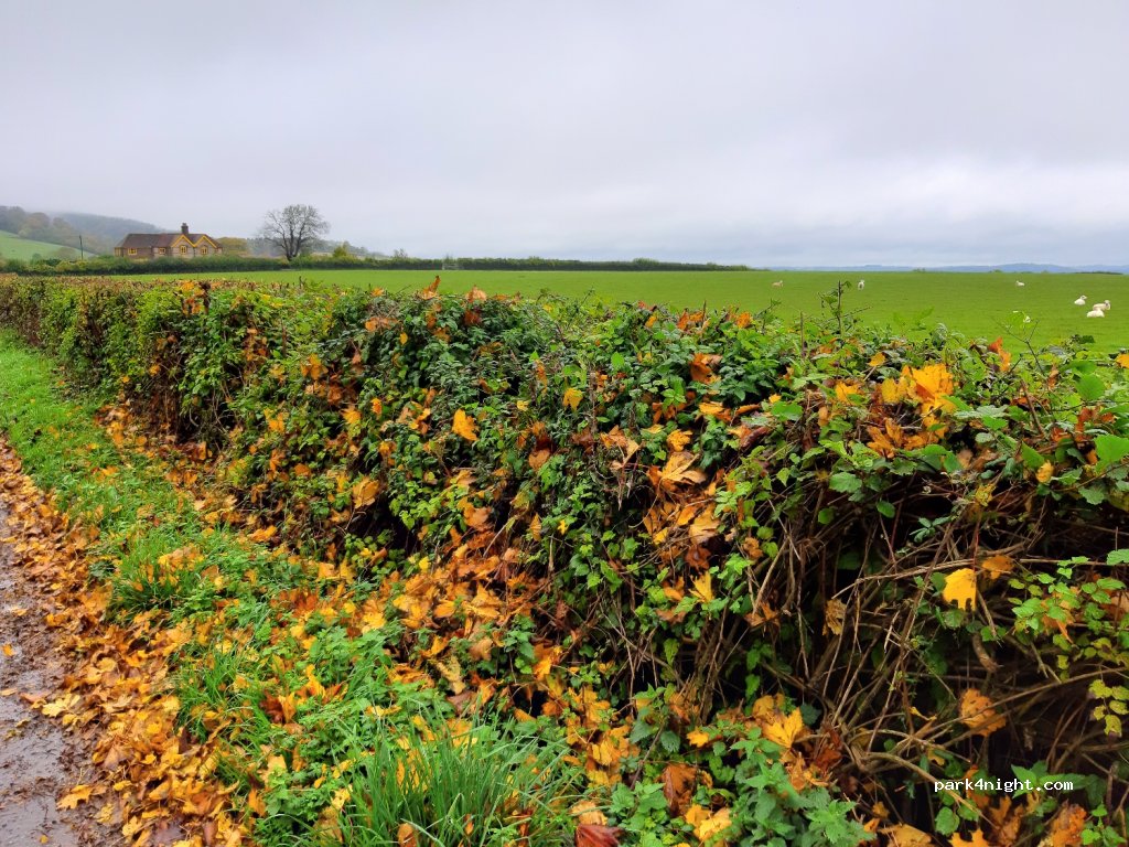 (GU29 0HT) Midhurst - — foto 2