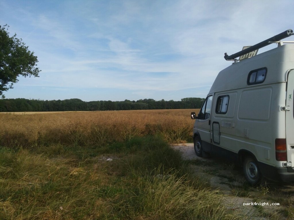 (10220) Piney - Unnamed Road — foto